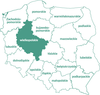 wielk