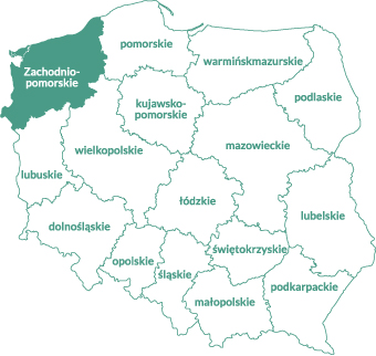 zacho