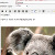 Obraz Html